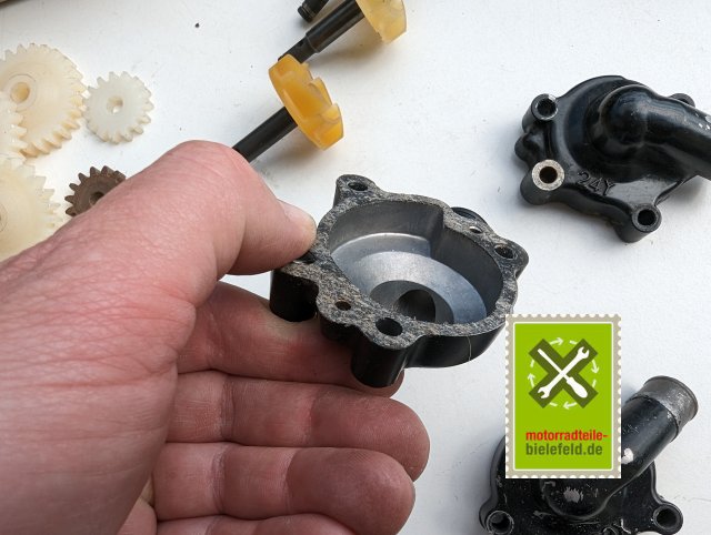 PXL_20240528_135649357